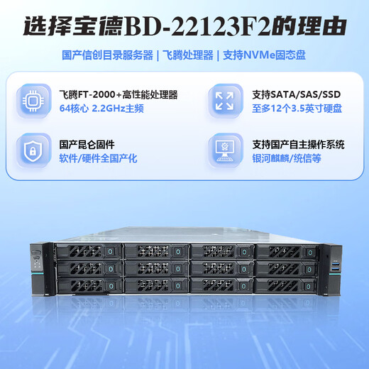 Boyd BD-22123F2 Feiteng rack server FT-2000+/4*32G/480G+4T/LR382A/Gigabit network card/550W/rail/3-year warranty
