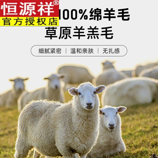 Hengyuanxiang scarf men's 2026 winter new plaid fashion versatile warm business casual trend retro men's scarf black gray