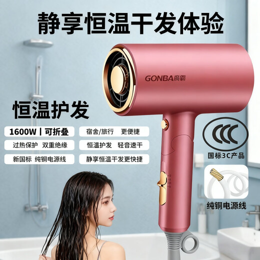 GUANGBA 2025 new technology National standard certified hair dryer household negative ion hair care silent quick-drying high wind low power hair dryer for dormitory students constant temperature does not harm hair quality Champagne powder New national standard safer 1600W Naked model 2M pure copper power cord