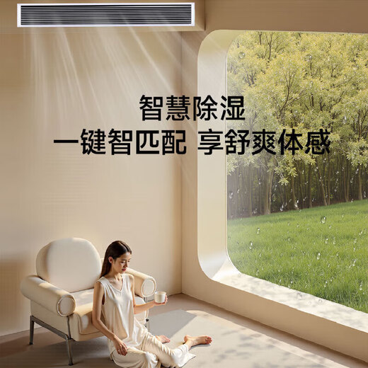 Haier Central Air Conditioning Net Energy Saving Plus Duct Machine One to One Large 3 HP New First Level Energy Efficiency Living Room Home Embedded Whole House Intelligent Connectivity Full DC Frequency One-touch AI Power Saving and Sterilization Large 3 HP First Level Energy Efficiency Net Energy Saving Plus + AI Power Saving Smart Dehumidification