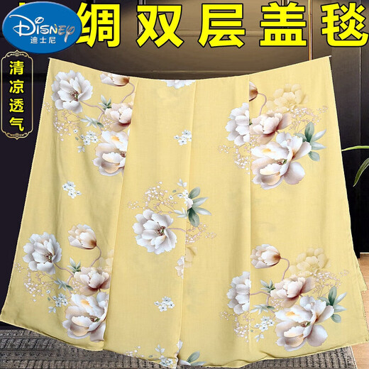RSRDDY artificial cotton cotton silk double layer cover single blanket quilt student children infant single non-cotton cool quilt winter cool quilt thin dinosaur baby white 75*90cm double layer cover single baby style without seams