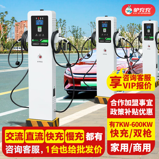 Lvchongchang Charging Pile New Energy Electric Vehicle Commercial Charging Pile Community Shared Shopping Mall B&B Scan QR Code Toll Charging Station 14KW Charging Pile - Scan QR Code + Swipe Card Standing Cabinet Double Gun 2ZA7-2