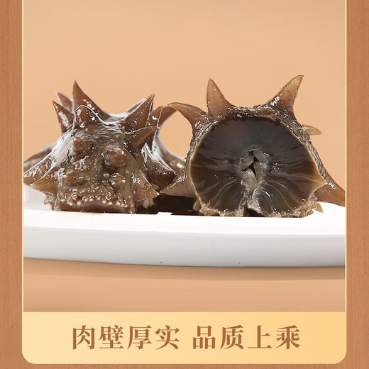 Kangyuetang Dalian ready-to-eat sea cucumbers, fresh sea cucumbers, bottom-sown wild authentic sea cucumbers, individually packaged frozen sea cucumbers, large king cucumbers, ready-to-eat sea cucumbers 1Jin Jin equals 0.5kg, 5-7 heads