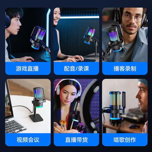 BOYA Boya Microphone G30 computer microphone condenser desktop microphone anchor singing e-sports game live broadcast microphone mobile phone karaoke dubbing class recording noise reduction radio microphone
