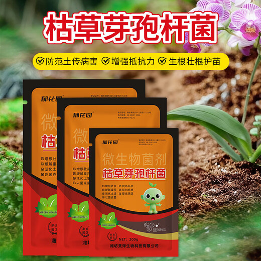 Bacillus subtilis agricultural microorganism bacterium Fusarium wilt root rot powdery mildew rust soil-borne disease prevention root trial pack 200g Bacillus subtilis * 1 bag