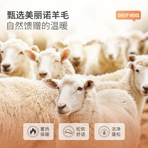 MONTAGUT Year of the Horse New Year wool polo shirt men's sheep wool silk plus velvet warm lapel T-shirt dark green L