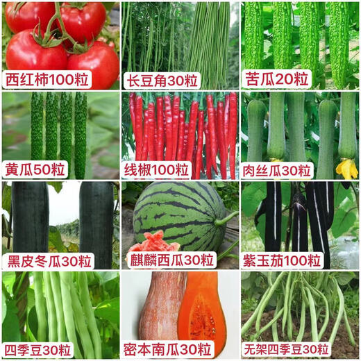 16 kinds of spring vegetable seeds, high-yielding cucumber, string beans, green beans, watermelon, pepper, farm potted loose, green bitter melon + loofah + cucumber + green beans 3 packs each