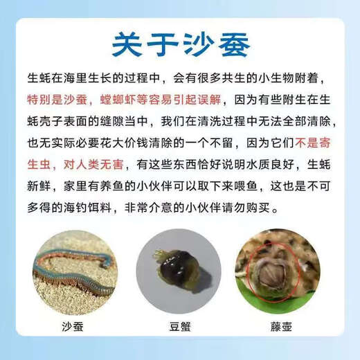 Fresh Rushan Oysters Fresh Authentic Rushan Oysters Sea Oysters 5 Jin Jin equals 0.5 kg box/10 Jin Jin equals 0.5 kg box 3XL medium oysters (20-30 pieces per box) with box 10 Jin Jin equals 0.5 kg