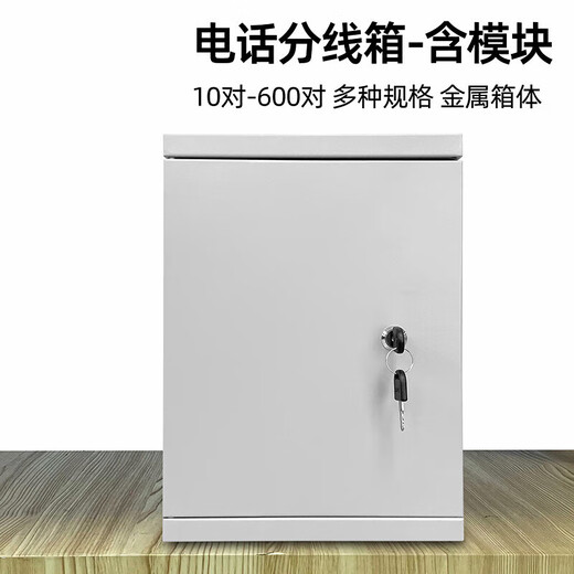 50/100对电话分线箱明装300配线箱卡接模块200回大对数电缆交接箱 30对配线箱-金属箱(含模块))