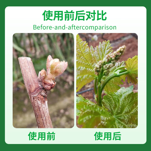 Guanlong Agricultural Chemical Rongya 50% cyanamide upgraded version of grape germination, bud break, sleep promotion and germination cyanamide growth regulator