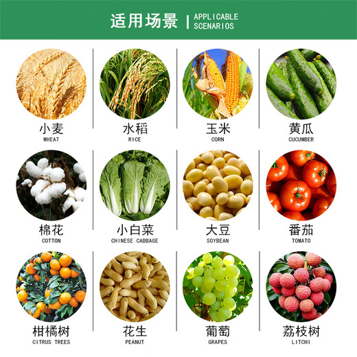 Daguangmingmingfengsu 24 epibrassinolide production-increasing plant growth regulator pesticide 10ml*10