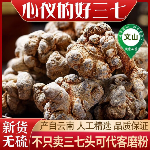 Jingqingyuan, Yunnan Wenshan Chun Sanqi Selection, Sanqi Head, Extra Class Authentic Tianqi Authentic Chunqi 20 Köpfe, 30 Köpfe, 10 Köpfe (8 Köpfe, 500 g) Sanqi King Selection, senden Sie die Ganze (bitte hinterlassen
