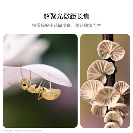 Huawei (HUAWEI) Pura70Pro flagship 5G mobile phone ultra-concentrated macro telephoto Beidou satellite national bank genuine subsidy 500 feather yarn black 12G+512G supports seven-day trial | Contact customer service for details