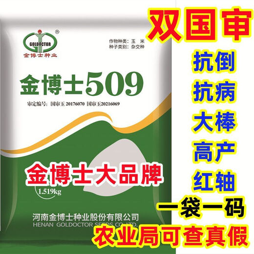 Bulk collection of original high-yielding corn seeds red-shaft dwarf stems insect-resistant and disease-resistant golden grain twins Ma Ya Bao Gu high-yield Wang Shuangguo Approval Dr. Jin 509 drought-resistant corn drought-resistant lodging and insect-resistant one bag of three Jin Jin is equal to 0.5 kilograms + high yield technology