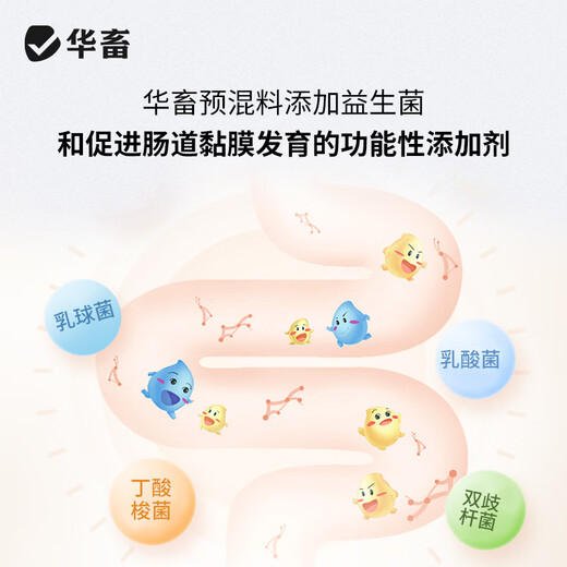 Huazhu 5% laying hen premix, peak egg production period chicken feed, egg production period feed, reserve chicken early stage compound premix, layer hen breeding period feed, whole ton as low as 90/bag