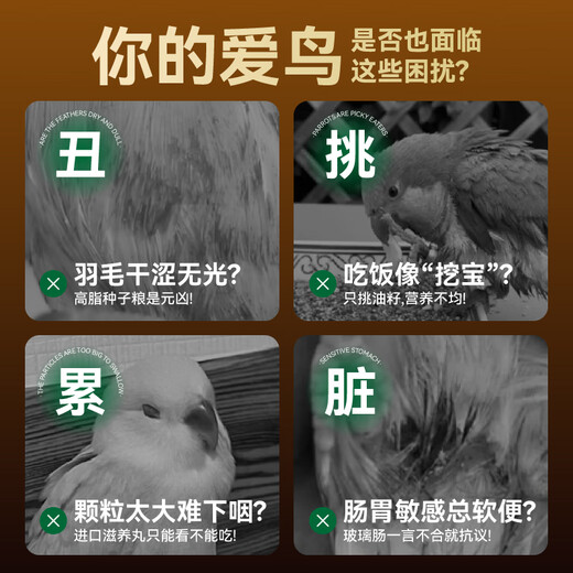 Guajuan C1 full price tiger parrot feed Xiaomei grain series tiger skin special grain mixed bird food millet seed grain 650g