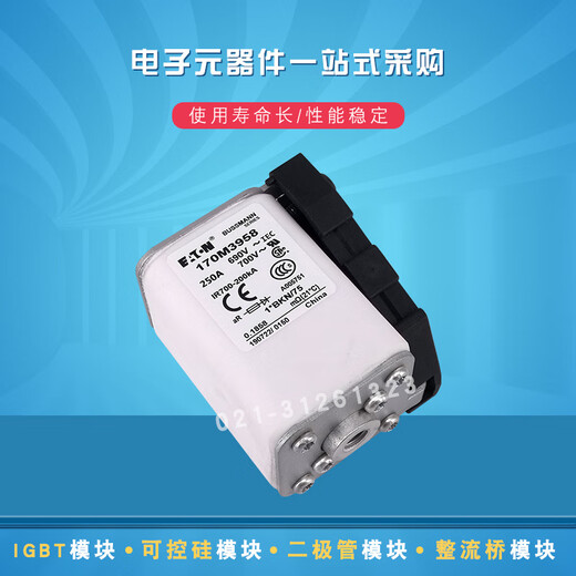 Eaton fast blow fuse 170M34623468 selection 170M3469