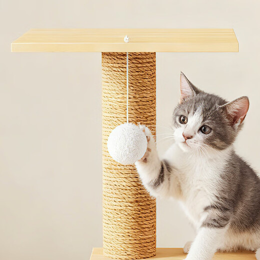 【源头工厂】猫爬架猫窝太空舱猫树一体实木剑麻猫玩具耐抓猫转盘 实木019（35*35*62CM)