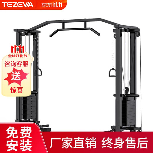 TEZEWA Big Flying Bird comprehensive trainer, pull-up strength equipment, multi-functional gantry, home fitness equipment