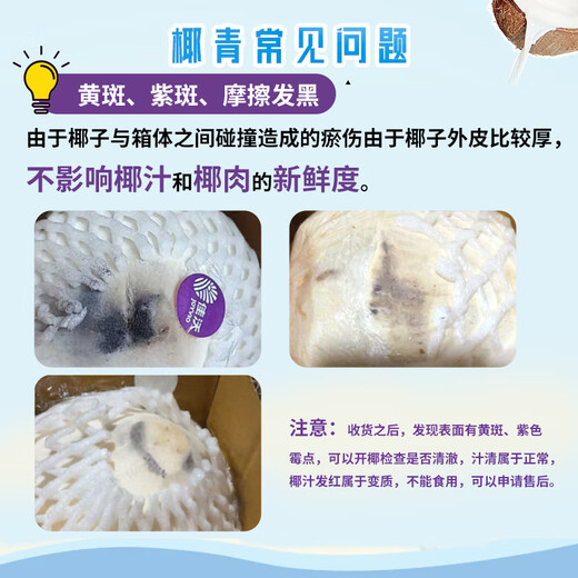 JOYVIO Thailand imported coconut green perfume coconut 6 pieces medium fruit 800g+ fruit straight from the source fresh fruit