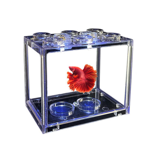Trendy lifestyle appliances colorful lantern fish tank, fish tank + 1 lantern (comes with colorful stones and aquatic plants)