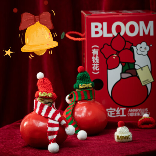 Jingdong Flowers Rich Amaryllis Gift Box Version Wax Ball Circumference 26-28cm Random New Year's Eve Gift Source Straight Hair