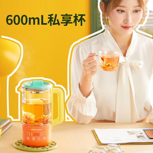 Royalstar Pure Titanium Health Pot Mini Health Cup Tea Maker Office Home Constant Temperature Kettle One Person Small Flower Teapot Girl Birthday Gift 0.6 Liter YSC618 (Ti)