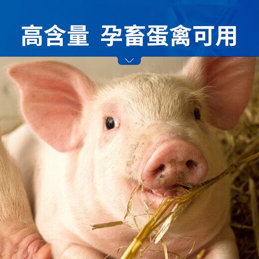 Zhonglong Shenli Astragalus Polysaccharide Veterinary Chicken, Duck and Goose Electrolytic Multidimensional Pig, Cattle and Sheep Trace Element Feed Additive Special for Chickens 70% Astragalus Polysaccharide 1 bag