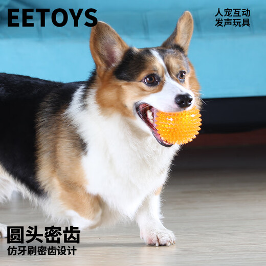 EETOYS medium thorn ball orange dog toy fun sounding teeth grinding and bite-resistant tooth cleaning ball to relieve boredom alone pet supplies