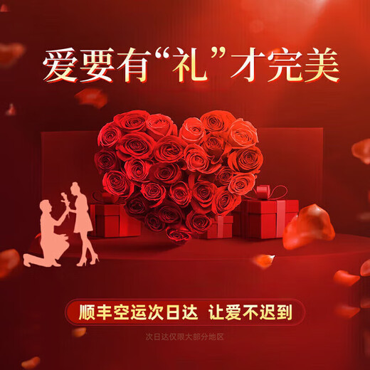 Ji Sifan Light Luxury Brand Fashion Accessories Light Luxury Fashion Women's Moissanite Necklace Clavicle Chain Pendant Jewelry Valentine's Day One Carat Snowflake Necklace Exclusive Gift Box