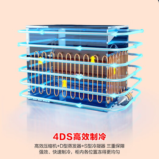 Rongsheng 200-liter single-temperature household commercial refrigeration and freezing high-efficiency frost reduction first-class energy-efficiency gray freezer state-subsidized official flagship store Boya Steel 200L BD/BC-200ZMSA