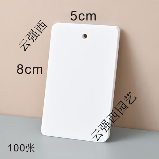 塑料PVC吊牌植物标牌树木记号牌分类色卡防水防晒防油花卉 白50丝8*5=100张