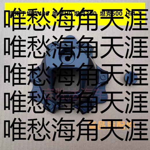 CLCEY Fenglin Iron Rider Camera Cover Protector Tank 300 Tank 500 Rear Spare Tire Camera Protection Authentic Original Black