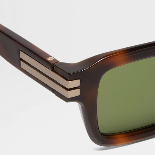 Zegna accessories winter new Havana brown acetate sunglasses sunglasses Havana brown ONE SIZE