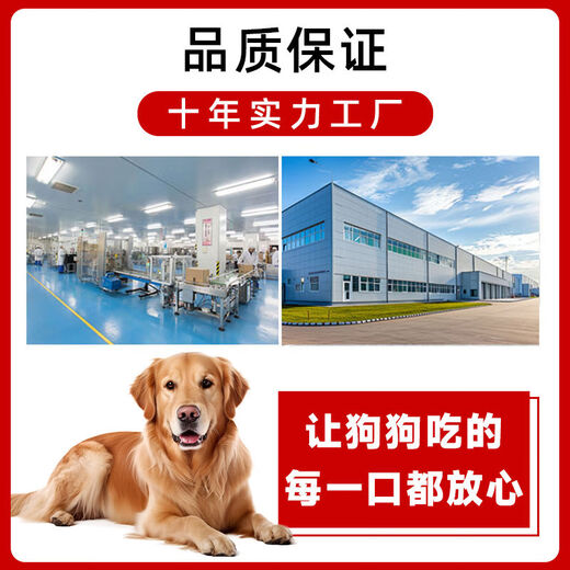 Zailu dog food, universal beef double pack, trial pack for medium and large dogs, small dogs, beef grain double pack, 100g, 50g*2 bags