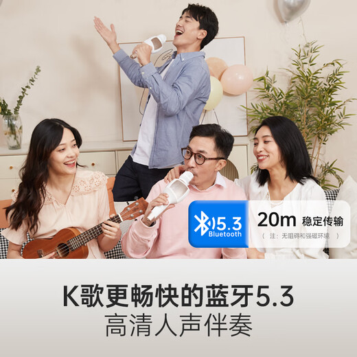 Meiniao Zhi screen audio microphone PLUS microphone and audio integrated sound card microphone National K-song microphone Meiniao singing bar home ktv anchor live broadcast outdoor singing and recording 25 PLUS upgraded versions store hot style 40W super loud volume