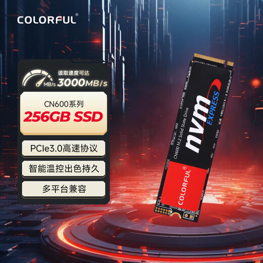 七彩虹(Colorful)  256GB SSD固态硬盘 M.2接口(NVMe协议)  CN600系列PCIe 3.0 x4
