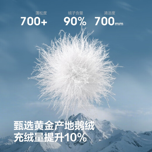 BOSIDENG's 25-year new 90 goose down extreme cold down jacket men's mall best-selling same style hooded thickened jacket B250242311 Trend recommendation Zhongshan Qing 5870 - Filling capacity + 9% - 700 + high loft goose down M 175/96A Weight about 130-140Jin Jin equals 0.5 kg