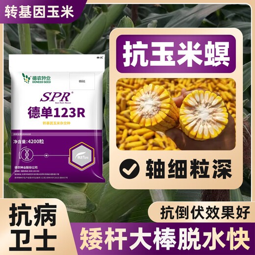 壮汉转基因高产玉米种子抗倒抗旱大棒抗虫矮杆封顶性好高净度苞谷种 转基因抗虫高产【3950粒】封顶好