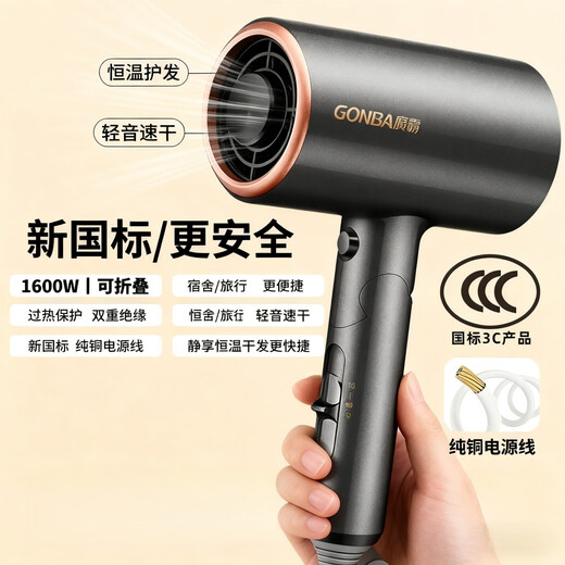 GUANGBA 2025 new technology National standard certified hair dryer household negative ion hair care silent quick-drying high wind low power hair dryer for dormitory students constant temperature does not harm hair quality Champagne powder New national standard safer 1600W Naked model 2M pure copper power cord