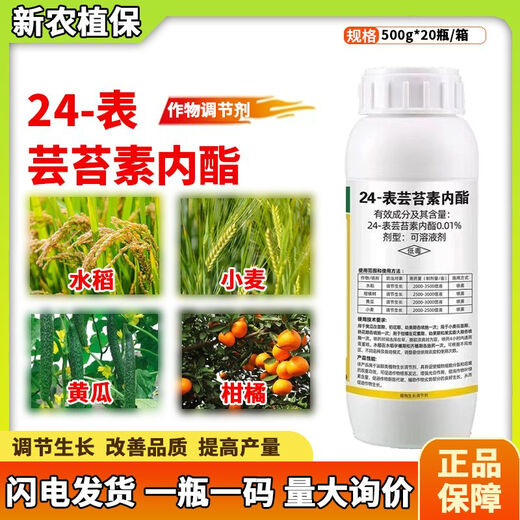 24 table high brassinolide brassinolide brassinolide wheat cucumber citrus plant growth regulator 500g