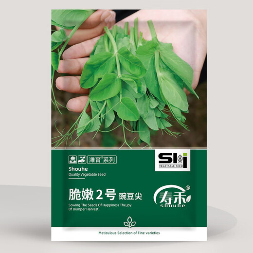 Shouhe crispy pea tip seed seedlings, bean sprouts, winter and spring vegetable seeds, crispy and tender No. 2 pea tip seeds 50g*2 bags