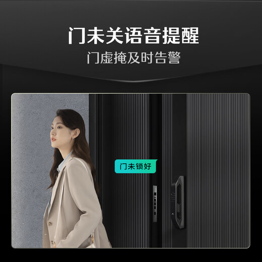 德施曼（DESMAN）全自动指静脉智能锁非传统指纹锁密码锁 电子锁智能门锁 大圣 Q5S