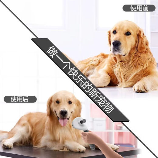 Cat and dog comb to remove floating hair artifact, pet-specific long hair cleaning comb to thin the lint and remove artifact, random color, one-click self-cleaning, protective beads