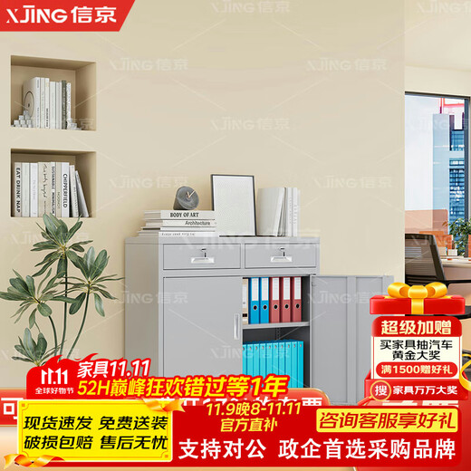 Xinjing file cabinet office iron cabinet low cabinet storage cabinet with lock information cabinet steel tool cabinet two drawer cabinet 0.5
