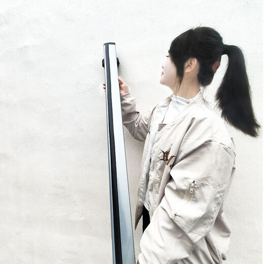 Litian General Car Luggage Rack Aluminum Alloy Travel Luggage Bicycle Rack Cross Bar Roof Rack Loading Strong Cross Bar Rack Elegant Black Strap Style Cross Bar + 2 Bicycle Racks