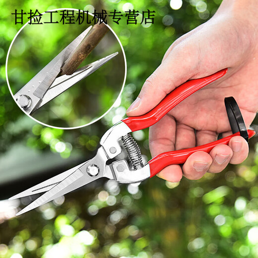 Qiaobolainong helper fruit picking scissors, fruit thinning scissors, grape flower thinning scissors, flower pruning scissors, citrus pepper special fruit picking scissors, straight head dipping scissors