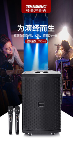 TEMEISHENG JT10-66 outdoor musical instrument audio road show K song square dance portable guitar saxophone playing and singing live broadcast