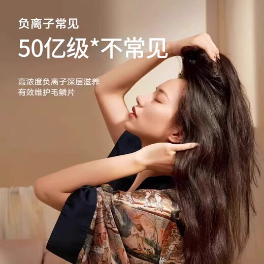 Leifen upgraded version National 3C certification丨5 billion negative ions for hair care High-speed hair dryer household silent negative ions high power does not damage hair Huaqiangbei hair dryer gift silver gray 5 billion moisturizing negative ions丨Constant temperature quick-drying hair care 2025 new style丨10-year warranty only replacement not repair丨Gift box