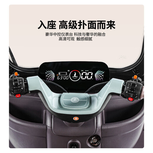 Phoenix Fengya electric tricycle household electric motorcycle adult electric vehicle small tricycle electric vehicle with shed Chaowei battery 800W power model + 60V20A lead-acid + battery life of about 42.5 kilometers